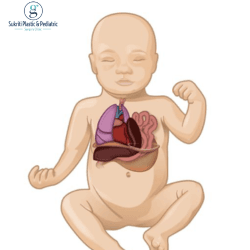 pediatric hernia, hernia symptoms in children, inguinal hernia treatment, umbilical hernia in kids, pediatric hernia surgery, pediatric surgeon in indore, dr saurabh garge clinic indore, child hernia treatment indore, best pediatric hernia doctor indore, inguinal hernia surgery indore, umbilical hernia specialist indore, child swelling groin treatment indore, baby hernia doctor near me indore, pediatric surgery hospital indore, hernia checkup for kids indore, newborn hernia treatment indore, child abdominal swelling doctor indore, hernia operation for child indore, pediatric surgical care indore, hernia specialist near vijay nagar indore, pediatric surgeon consultation indore, child health specialist indore, safe hernia surgery for kids indore, groin lump child doctor indore, belly button hernia treatment indore, pediatric emergency surgeon indore, hernia diagnosis clinic indore, child surgery expert indore, hernia pain child treatment indore, pediatric day care surgery indore, hernia recovery care indore, affordable pediatric surgery indore, experienced pediatric surgeon indore, kids surgical treatment indore, child wellness surgery indore