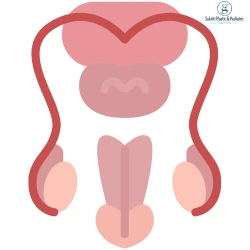 Undescended Testis (Cryptorchidism): When is Surgery Needed? Undescended Testis Surgery, Cryptorchidism Treatment, Pediatric Surgeon in Indore, Orchidopexy Surgery, Undescended Testicle Treatment, best pediatric surgeon in indore, pediatric surgery in indore, undescended testis treatment indore, cryptorchidism surgery indore, orchidopexy surgery indore, child surgeon in indore, pediatric urologist indore, pediatric hospital indore, undescended testicle doctor indore, child hernia treatment indore, newborn surgical care indore, pediatric laparoscopic surgery indore, baby boy testicle surgery indore, pediatric specialist indore, child healthcare indore, pediatric consultation indore, pediatric clinic indore, children surgery specialist indore, pediatric surgeon near me indore, infant surgery indore, child groin swelling treatment indore, testicular problems in children indore, pediatric surgical treatment indore, neonatal surgery indore, laparoscopic pediatric surgeon indore, child operation specialist indore, pediatric healthcare indore, boys health specialist indore, child treatment hospital indore, Dr Saurabh Garge pediatric surgeon indore