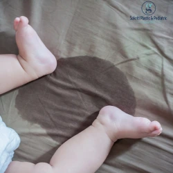 Bed-Wetting Age Guide in Children Bed-Wetting Age Guide in Children, bed-wetting in children, nocturnal enuresis in children, child bed-wetting treatment, pediatric urinary problems, pediatric surgeon in Indore, Dr Saurabh Garge Indore, pediatric urologist in Indore, bed-wetting treatment in Indore, child bed-wetting doctor Indore, nocturnal enuresis treatment Indore, pediatric urinary specialist Indore, bed-wetting specialist in Indore, children urine problem treatment Indore, pediatric urology treatment Indore, frequent urination in children Indore, nighttime bed-wetting treatment Indore, urinary incontinence in children Indore, pediatric bladder specialist Indore, child bladder problem doctor Indore, bed-wetting after age 5 Indore, bed-wetting in school age children Indore, child urologist near me Indore, pediatric surgeon near me Indore, urinary problem in kids Indore, bladder control problem children Indore, enuresis specialist Indore, nighttime urine problem Indore, pediatric urinary incontinence Indore, child frequent urination doctor Indore, bed-wetting alarm guidance Indore, secondary enuresis treatment Indore, child urine infection specialist Indore, pediatric bladder care Indore, children's urinary problem doctor Indore
